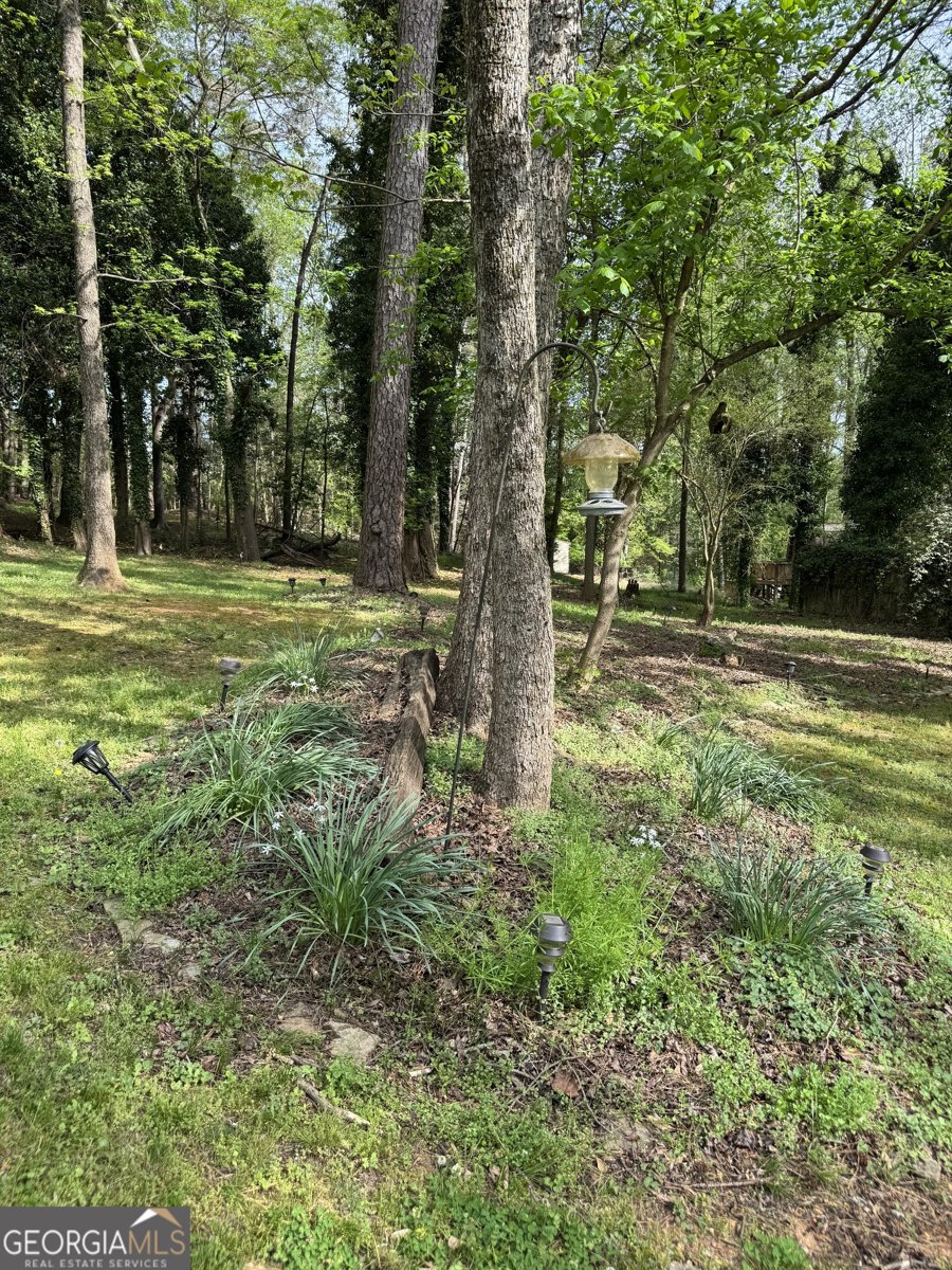 41 Pine Lane Drive Athens - Photo 26