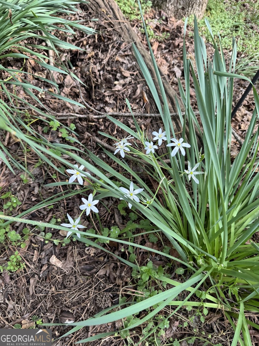 41 Pine Lane Drive Athens - Photo 27