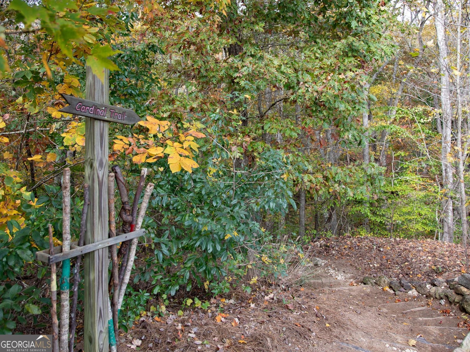 3541 Cresswind Parkway Gainesville - Photo 50