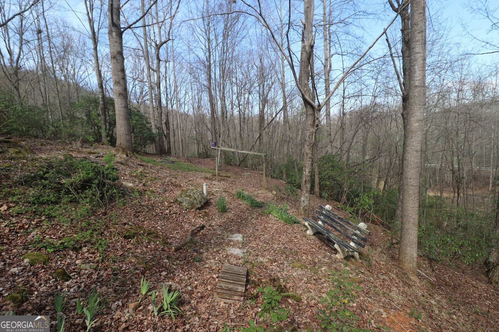 14 Gove Road Sautee Nacoochee - Photo 8