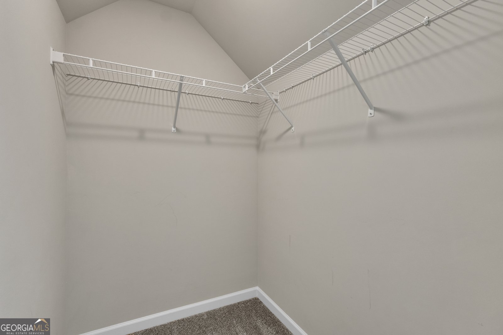 50 Cushing Street Senoia - Photo 49