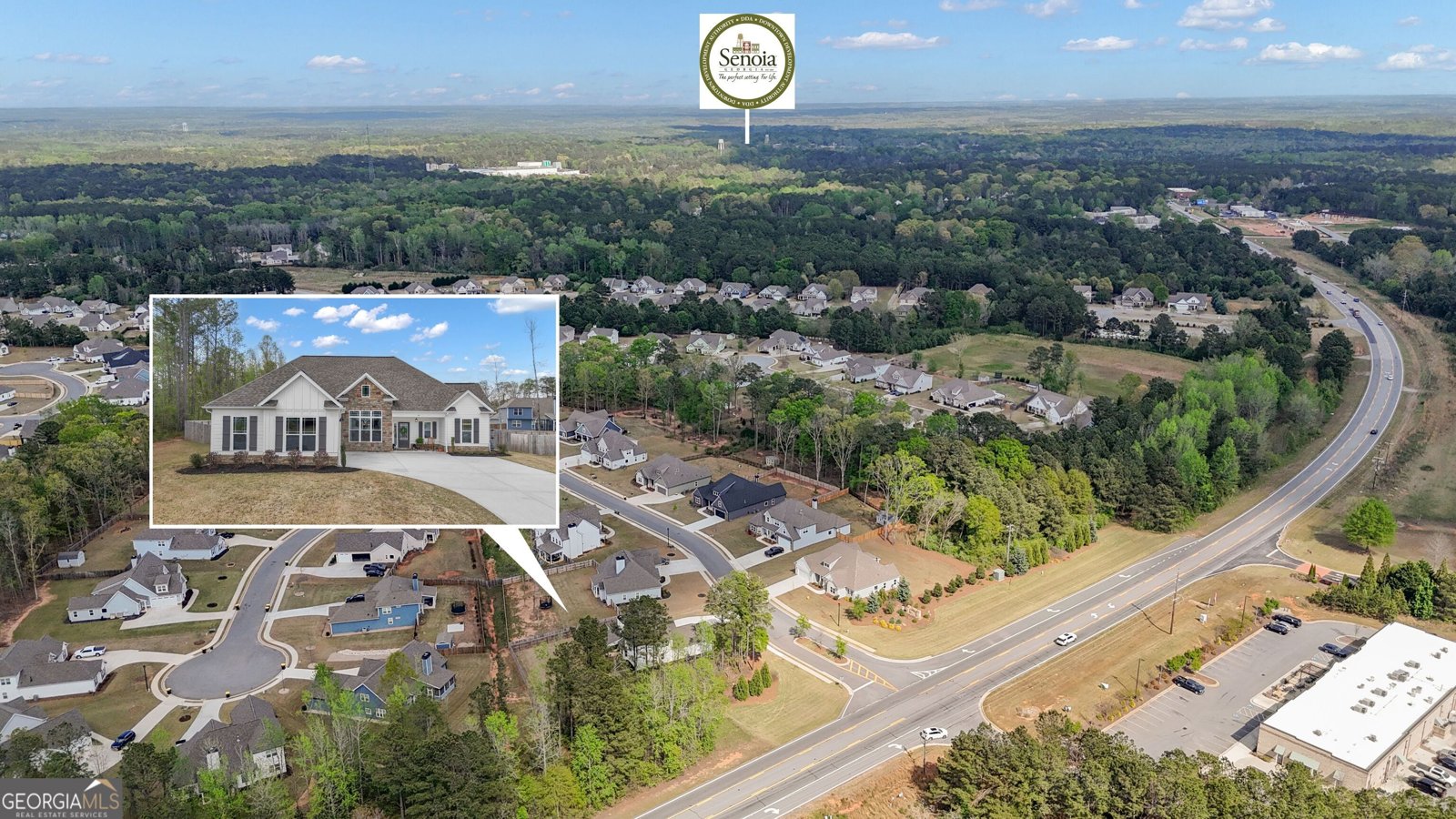 50 Cushing Street Senoia - Photo 60