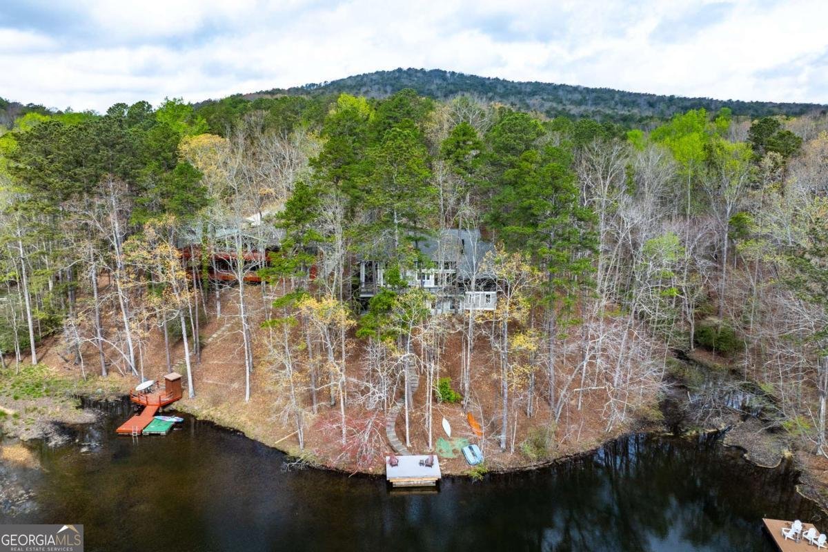 117 Klamath Court Waleska - Photo 62