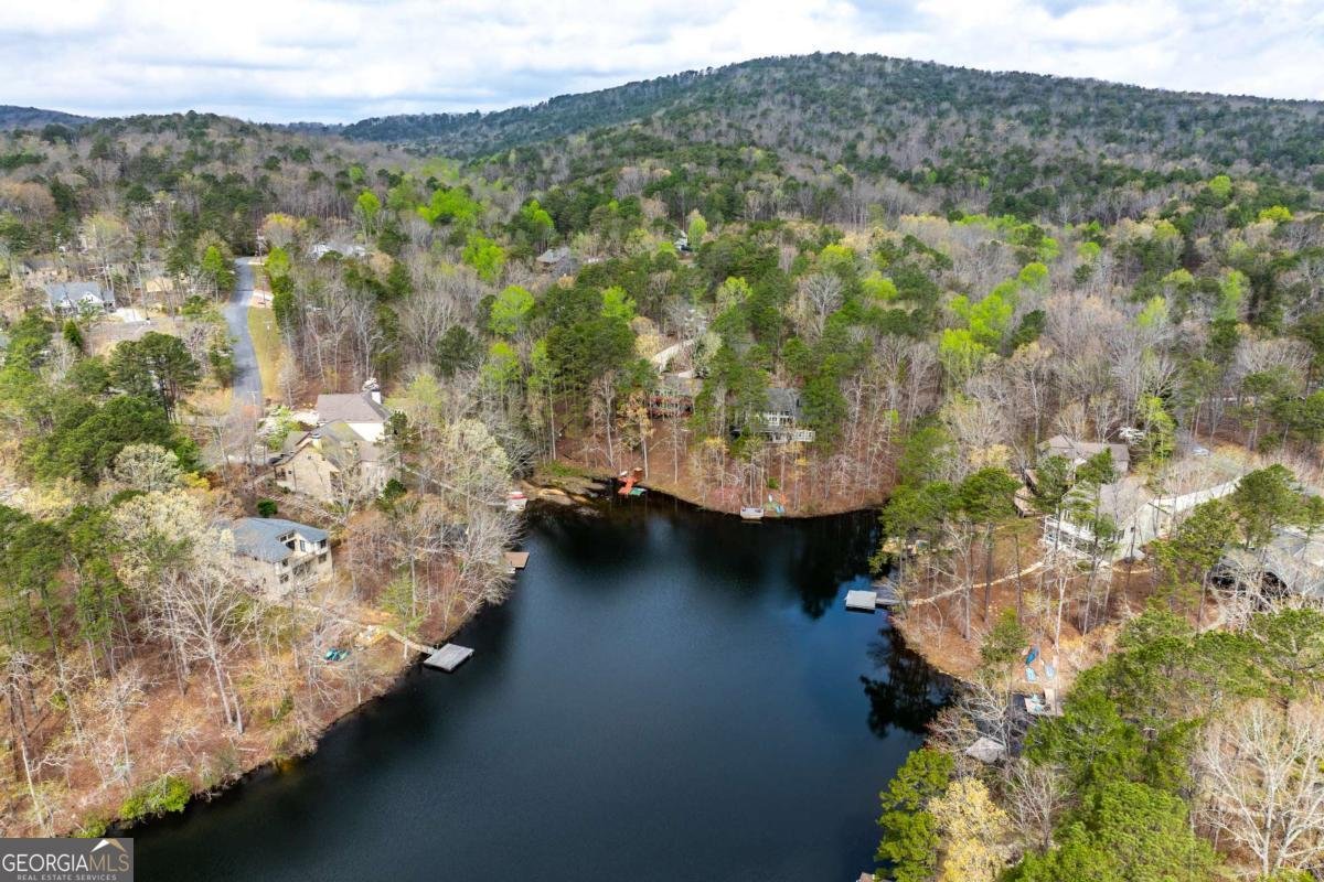 117 Klamath Court Waleska - Photo 68