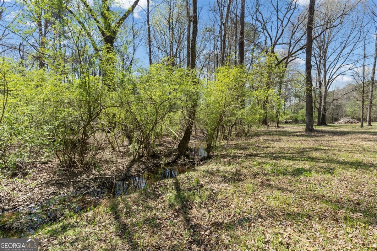 428 Horseshoe Circle Rockmart - Photo 58