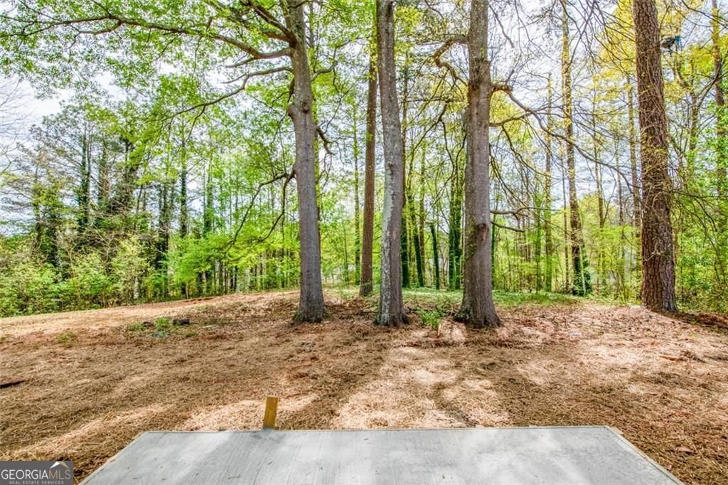 3493 Newberry Trail Decatur - Photo 47