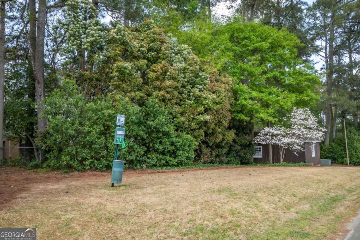 309 Georgetown Drive Athens - Photo 38