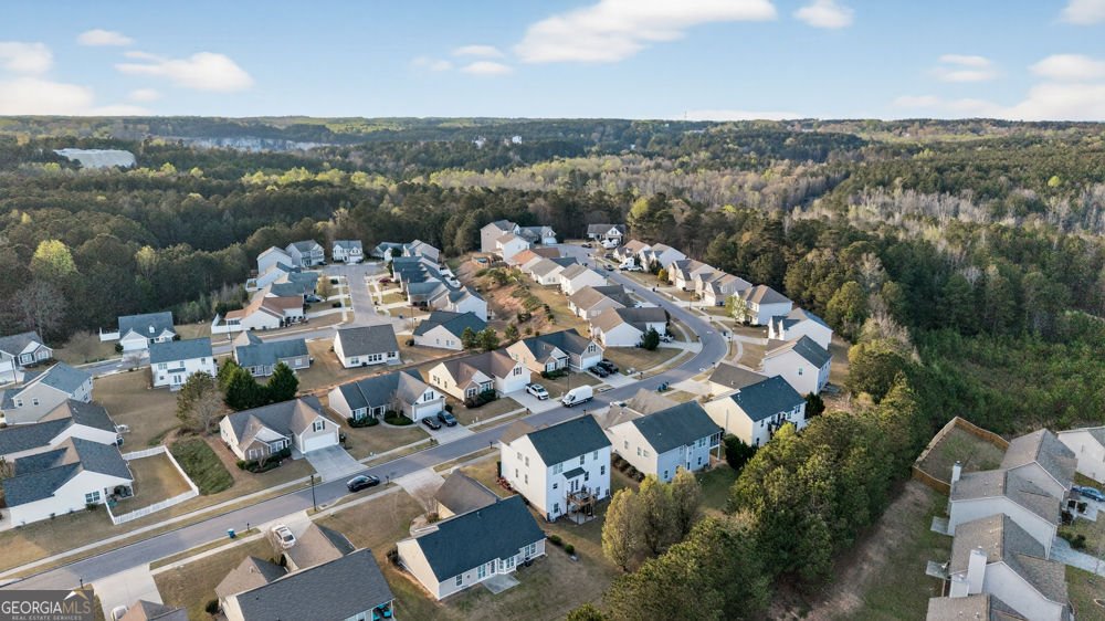 851 Franklin Mill Trace Loganville - Photo 48