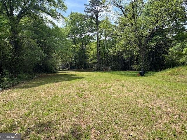 615 Jeff Davis Road Thomaston - Photo 24