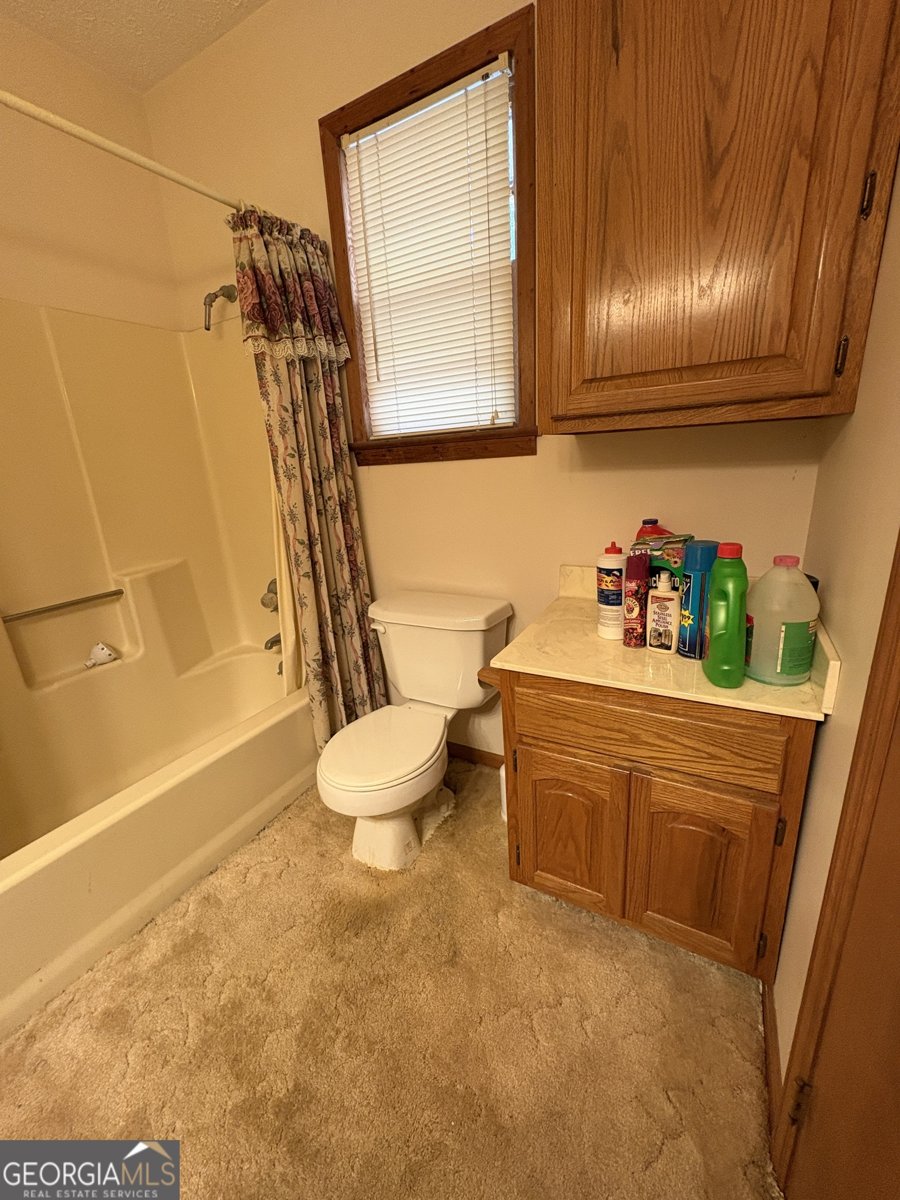 5735 Fitzgerald Street Eastman - Photo 10