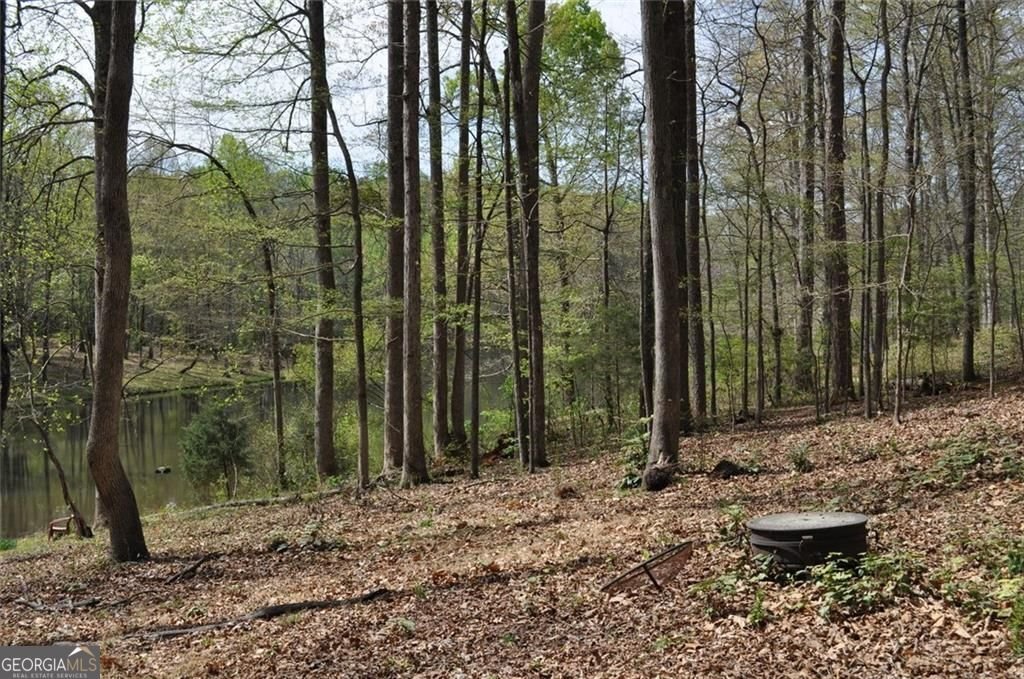 731 Hidden Lakes Trail Jefferson - Photo 58