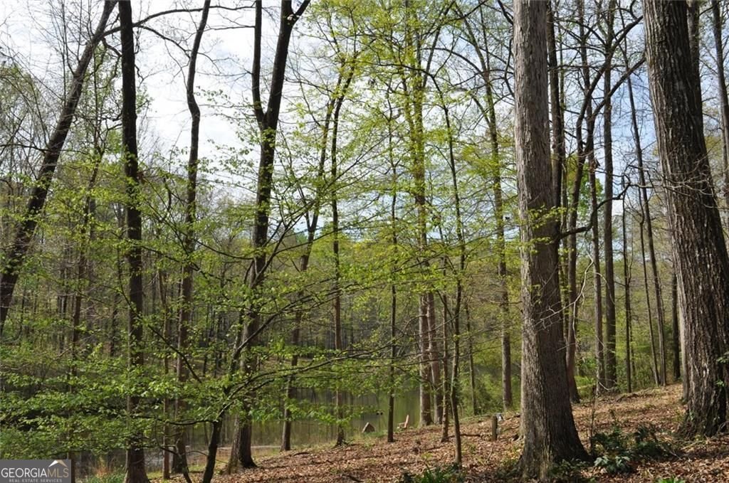 731 Hidden Lakes Trail Jefferson - Photo 62