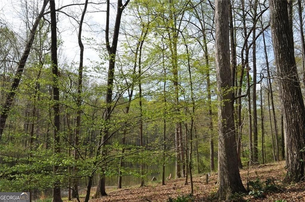 731 Hidden Lakes Trail Jefferson - Photo 64