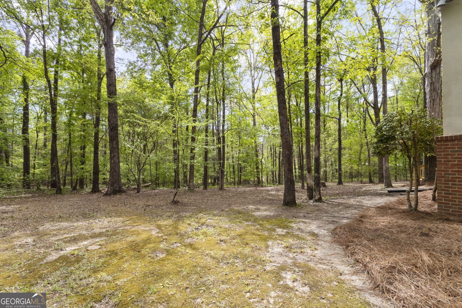 128 Wolf Creek Drive Macon - Photo 48