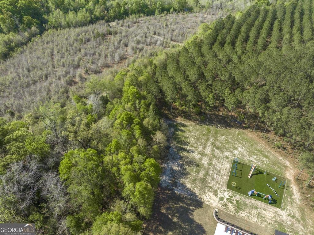 793 Springhaven Road Dexter - Photo 47