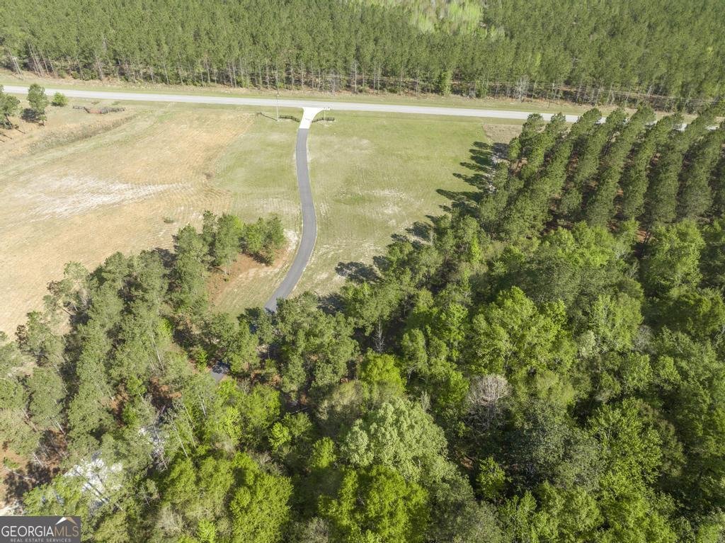 793 Springhaven Road Dexter - Photo 57