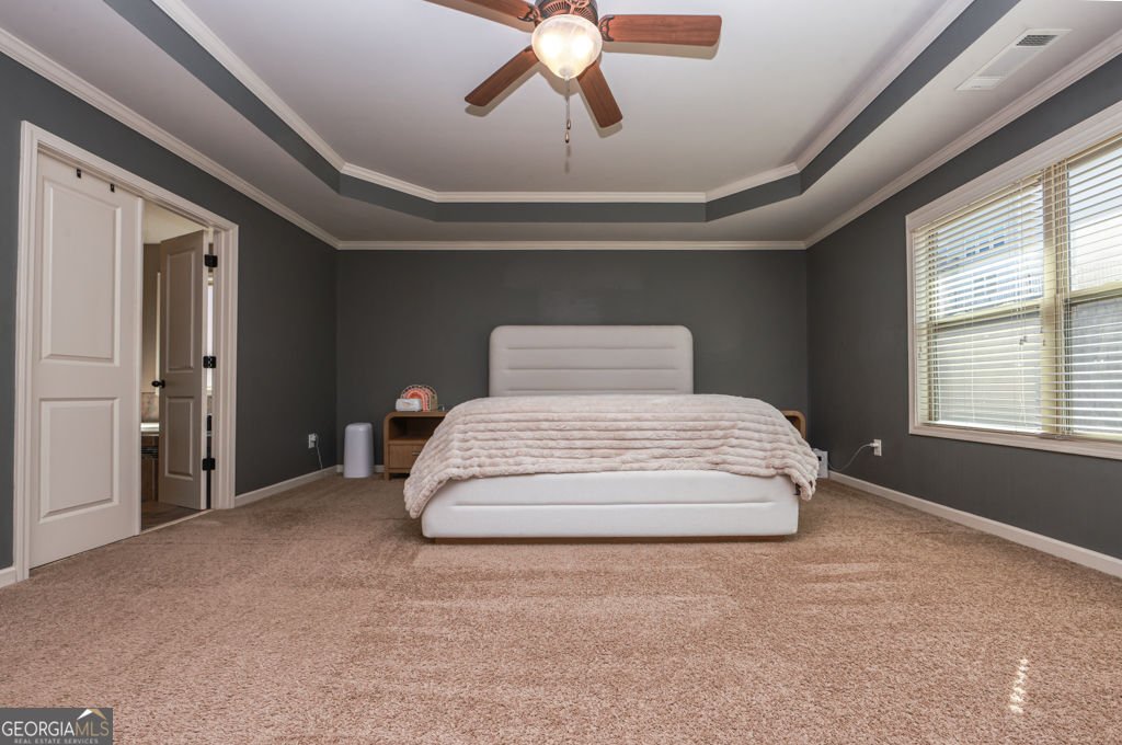 4669 Sierra Creek Drive Hoschton - Photo 42