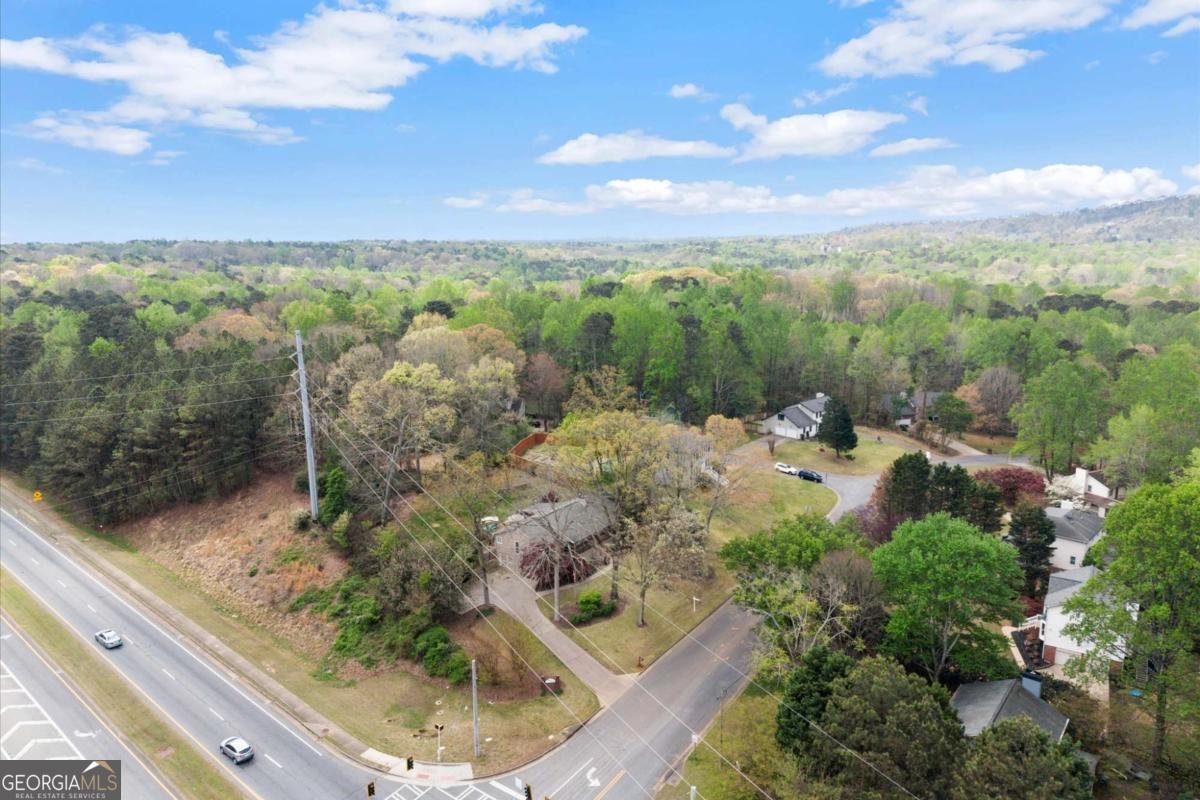 1003 Knotts Pointe Drive Woodstock - Photo 60