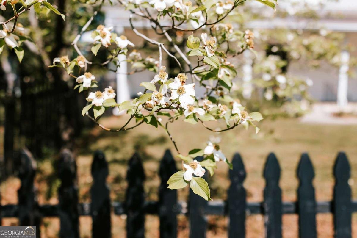 229 Spring Street Crawford - Photo 30