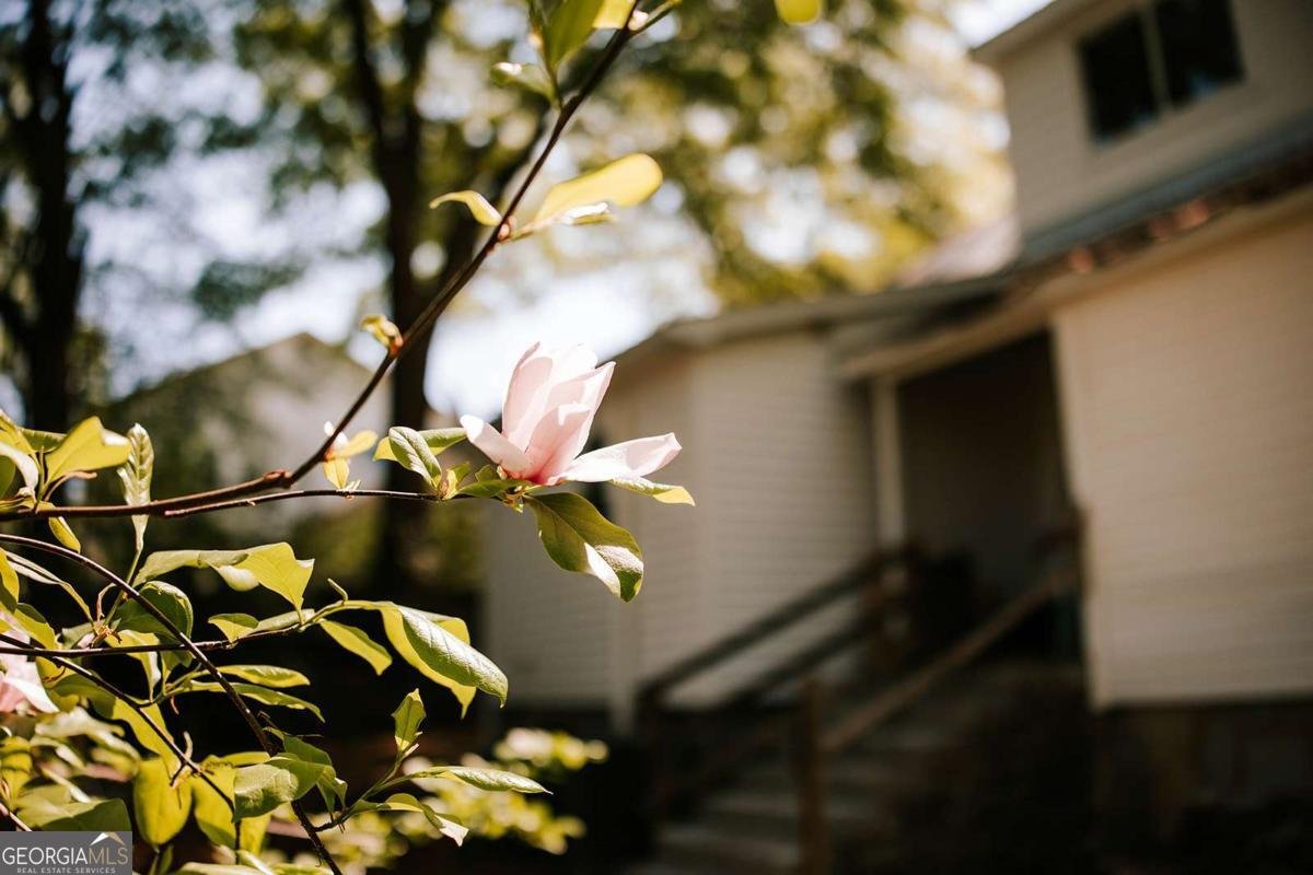 229 Spring Street Crawford - Photo 36