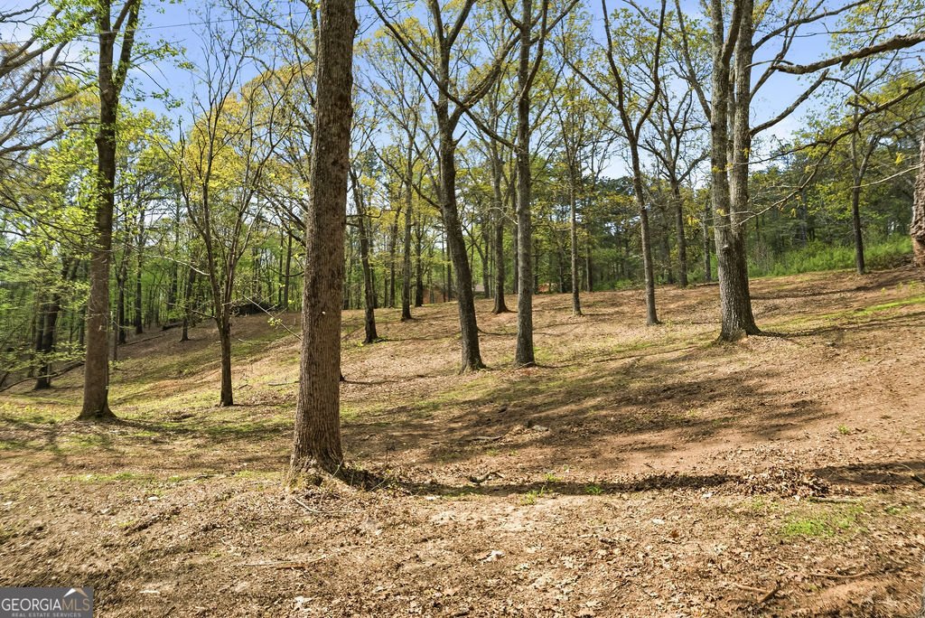 5606 Chapel Hill Road Douglasville - Photo 37