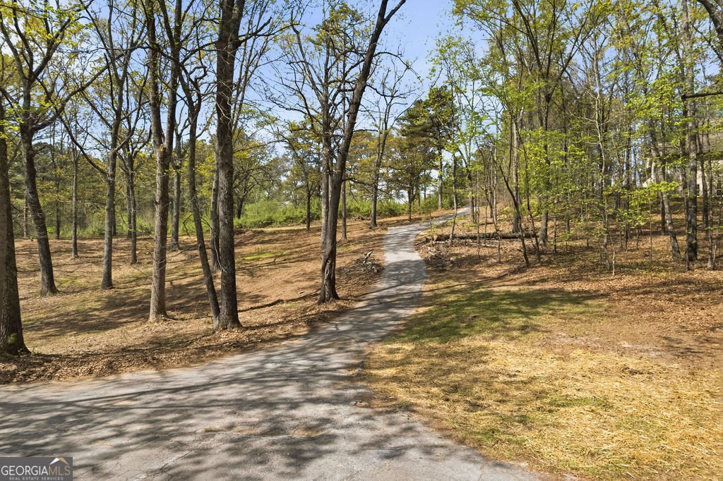 5606 Chapel Hill Road Douglasville - Photo 38