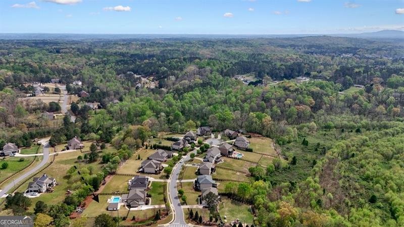 103 American Pharoah Way Canton - Photo 113