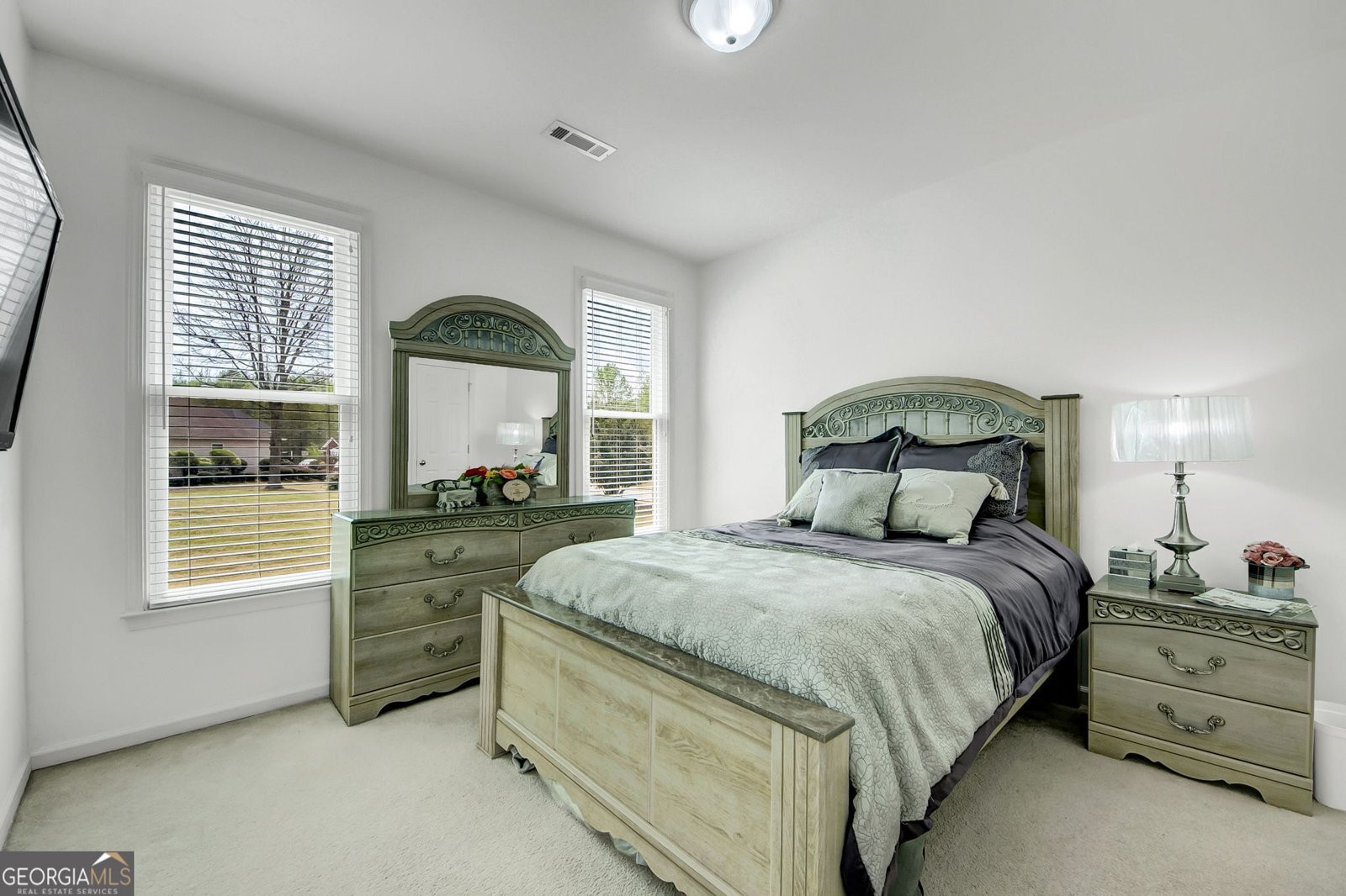 101 Green Branch Drive Tyrone - Photo 13