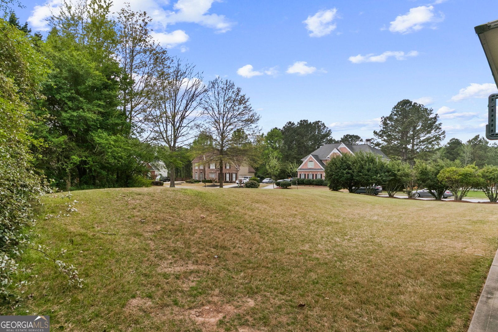 101 Green Branch Drive Tyrone - Photo 34