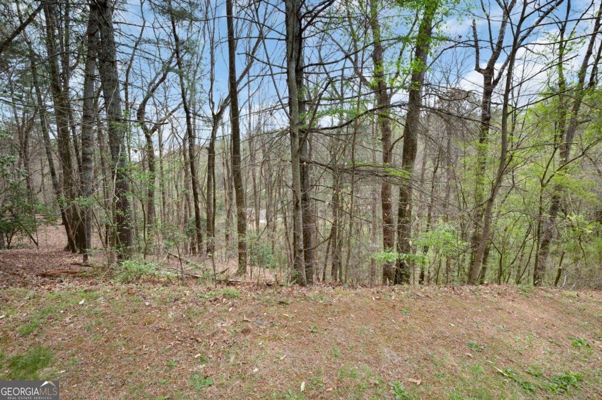 73 The Oaks Drive Ellijay - Photo 11