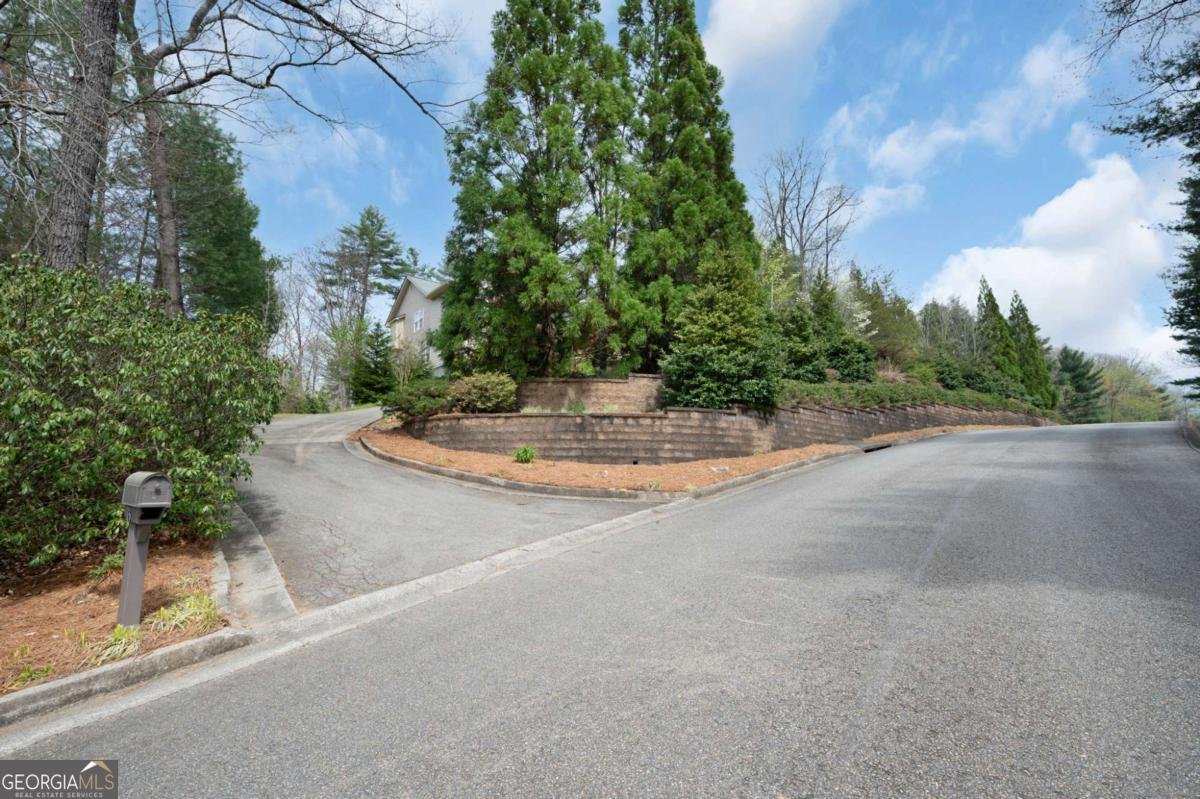 73 The Oaks Drive Ellijay - Photo 13