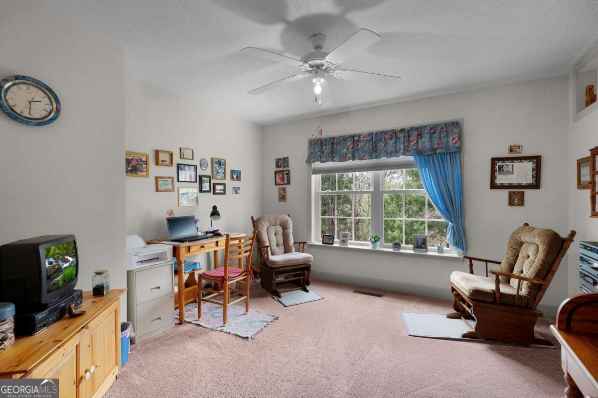 73 The Oaks Drive Ellijay - Photo 45