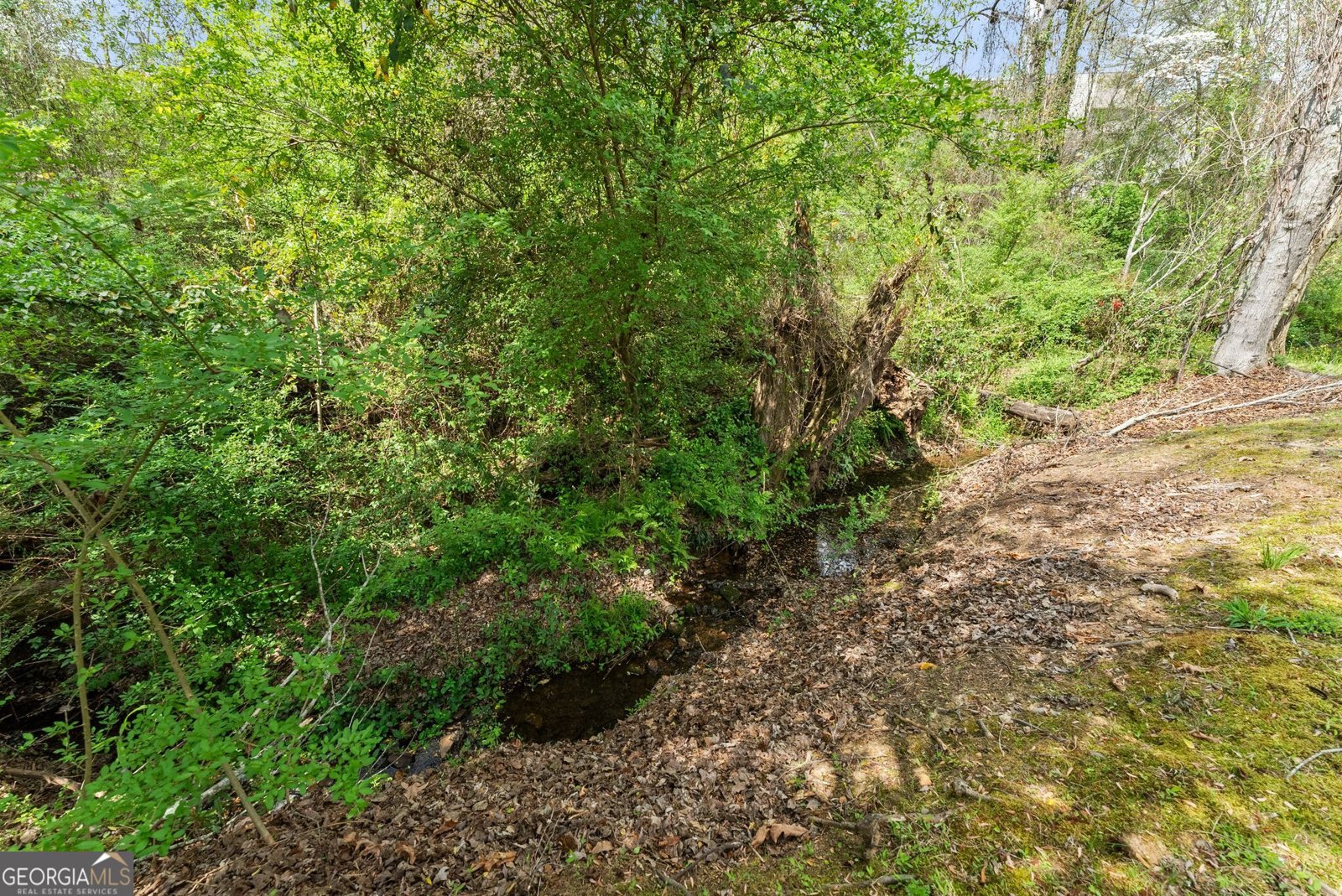 4057 Deerlope Court Gainesville - Photo 40