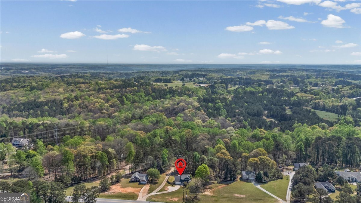 5457 Highway 81 Loganville - Photo 49