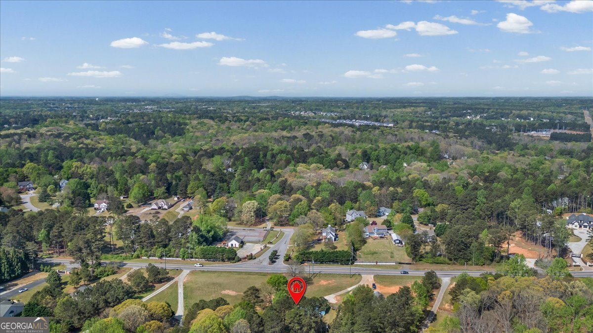 5457 Highway 81 Loganville - Photo 50