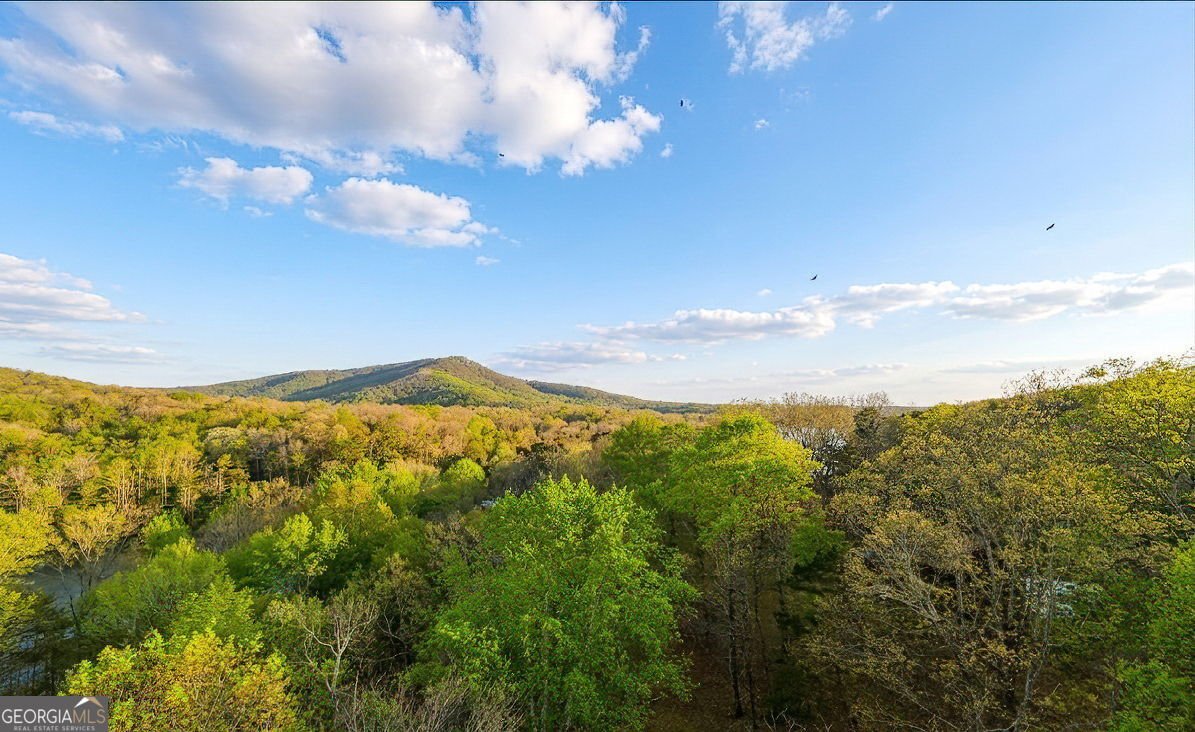 78 Blue Pine Court Jasper - Photo 42