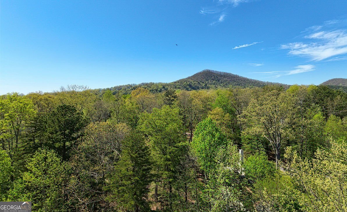 78 Blue Pine Court Jasper - Photo 43