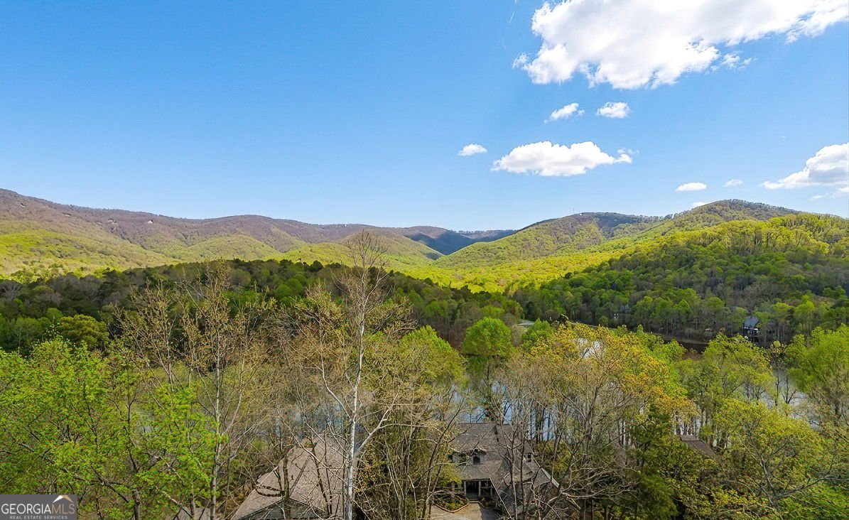 78 Blue Pine Court Jasper - Photo 44