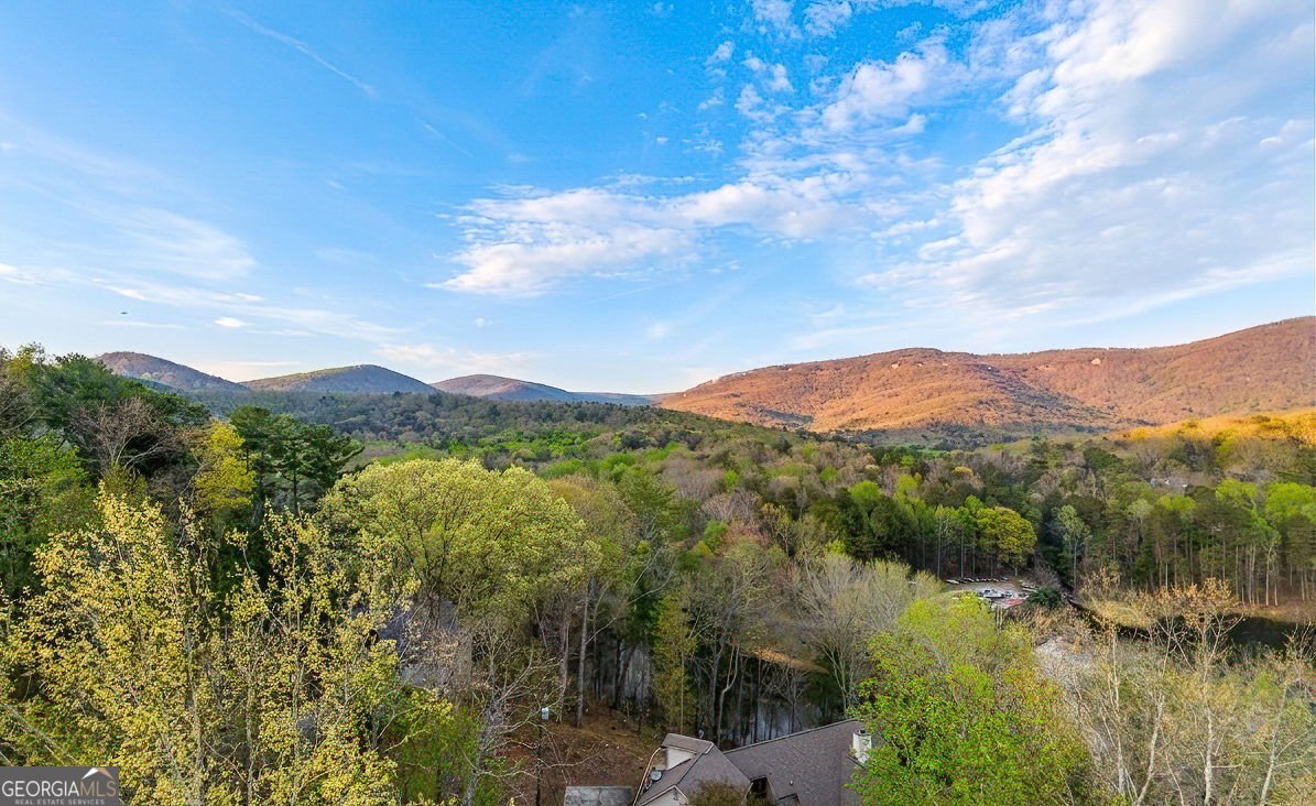 78 Blue Pine Court Jasper - Photo 47