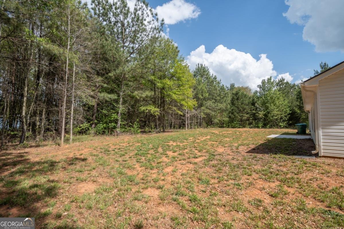 150 Rock Street Danielsville - Photo 42