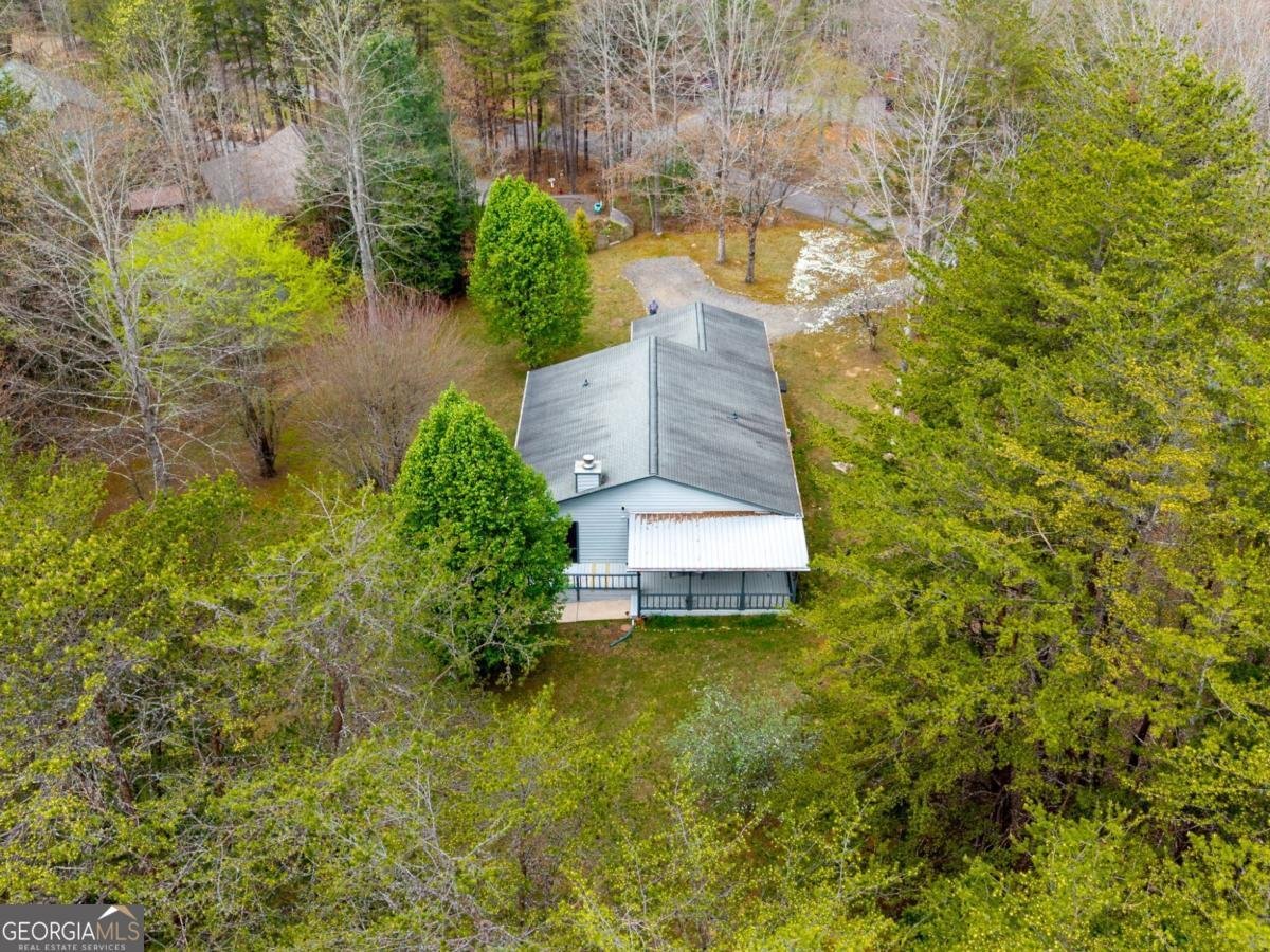 9045 Betty Jo Circle Young Harris - Photo 29