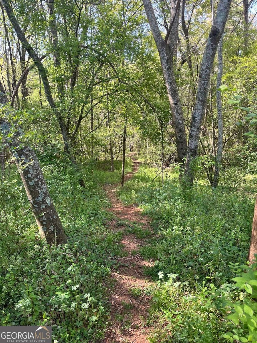 265 Center Park Lane Athens - Photo 21