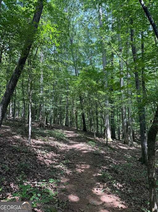 265 Center Park Lane Athens - Photo 22