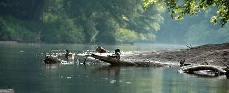 2560 Links End Roswell - Photo 63