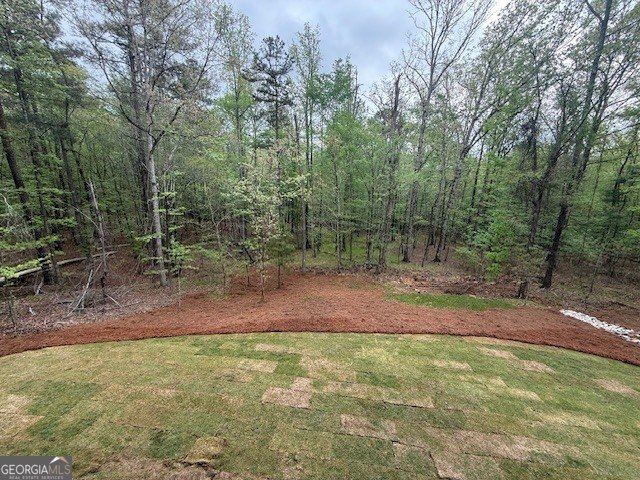 1031 Shadow Creek Way Greensboro - Photo 17