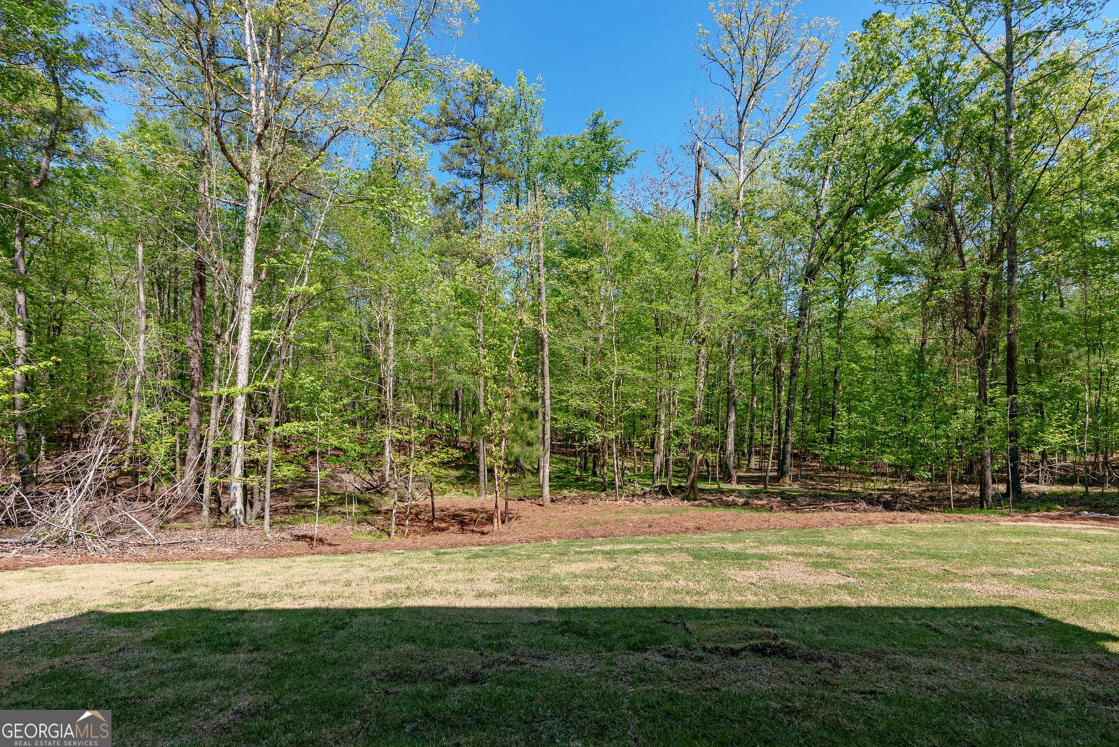 1031 Shadow Creek Way Greensboro - Photo 38