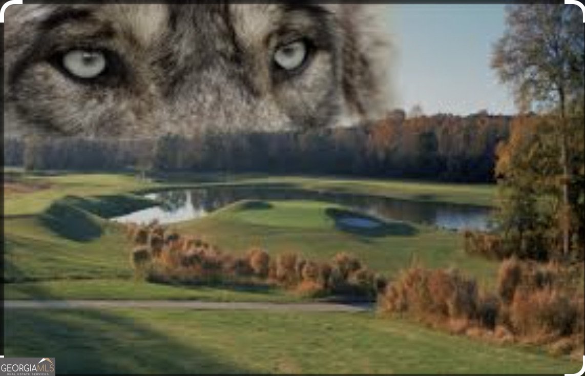 5349 Tolar Road South Fulton - Photo 36