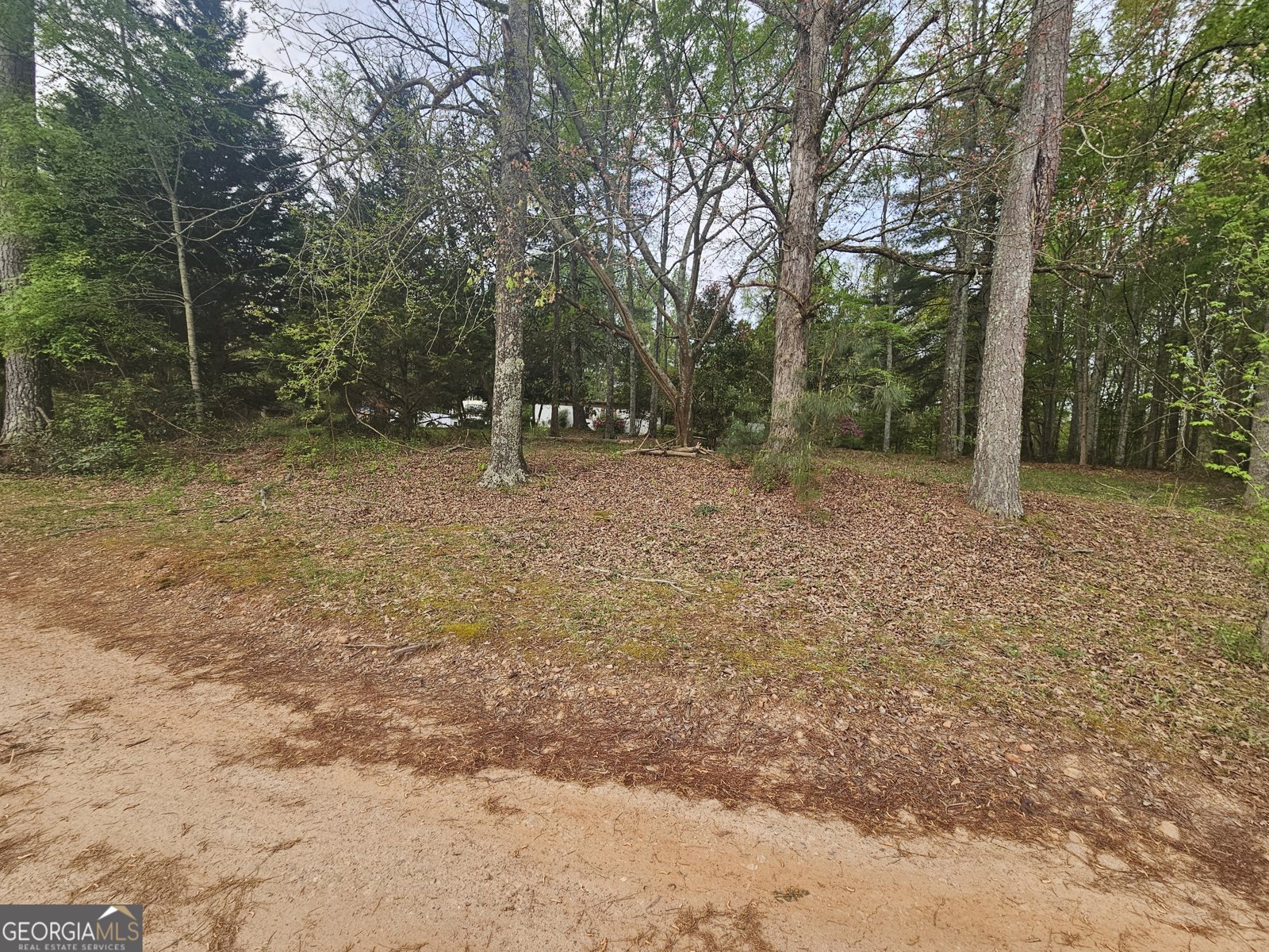 921 Deer River Road Monroe - Photo 14