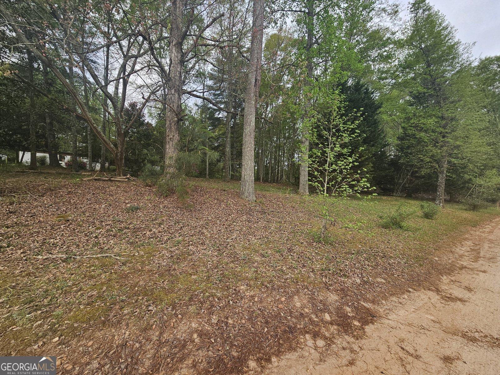 921 Deer River Road Monroe - Photo 16