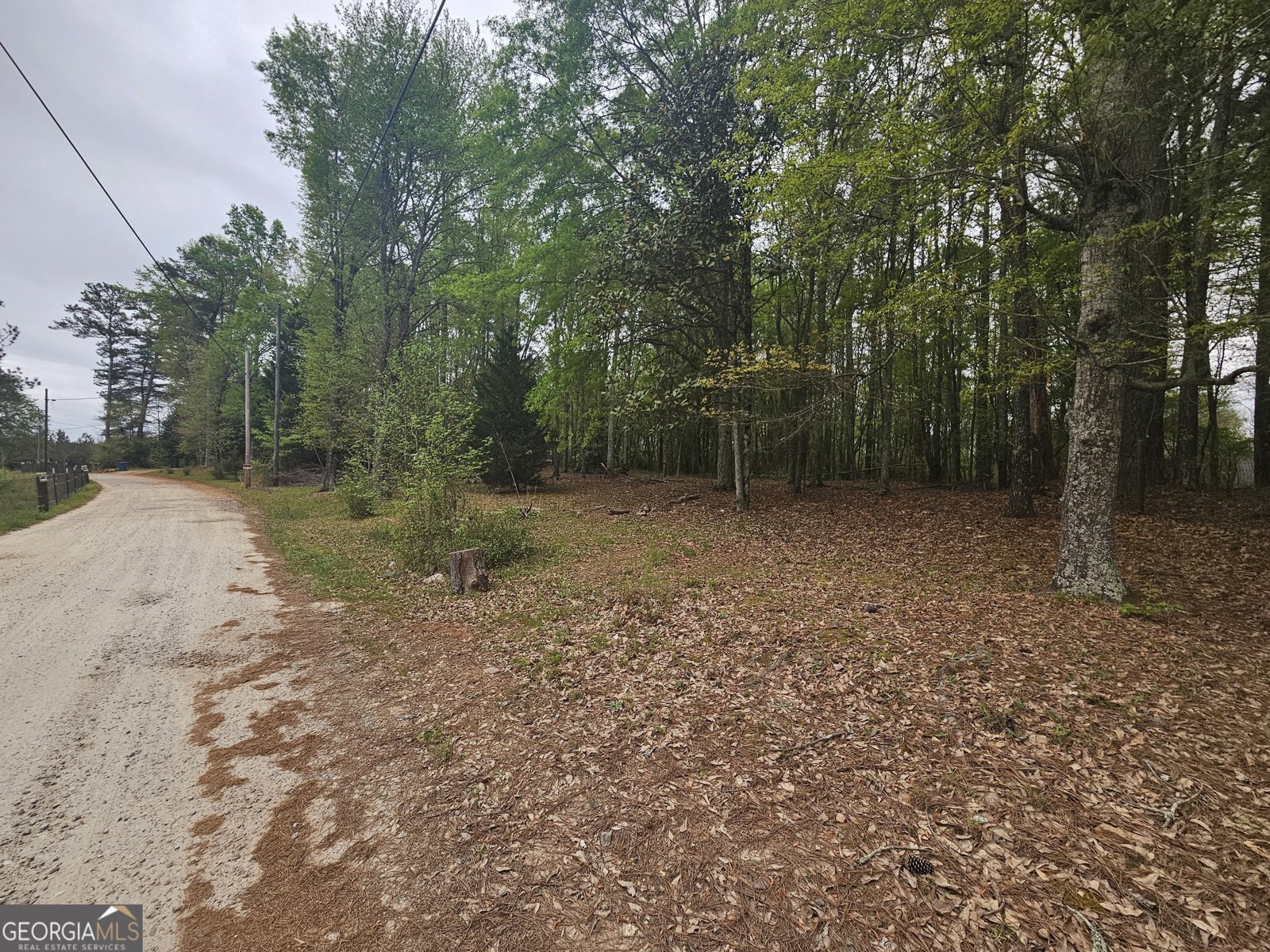 921 Deer River Road Monroe - Photo 19